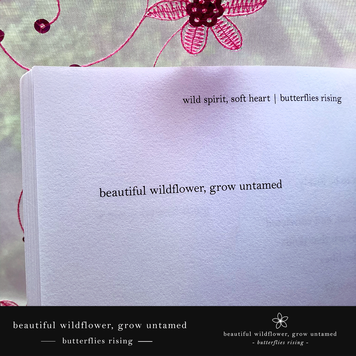 beautiful wildflower grow untamed- butterflies rising