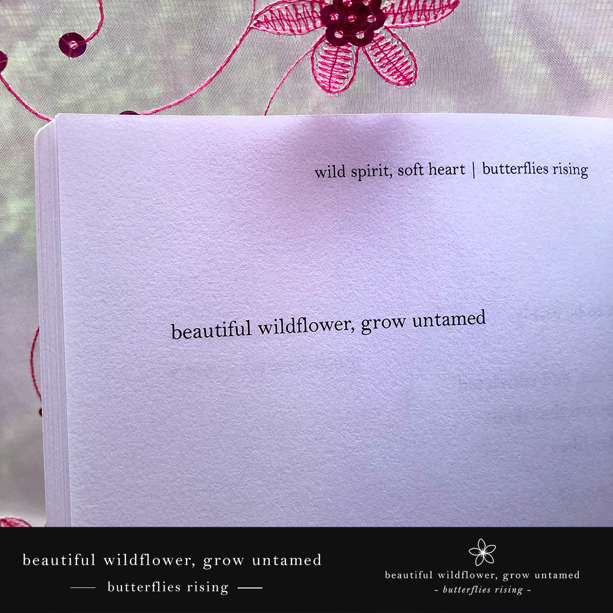 beautiful wildflower grow untamed - butterflies rising