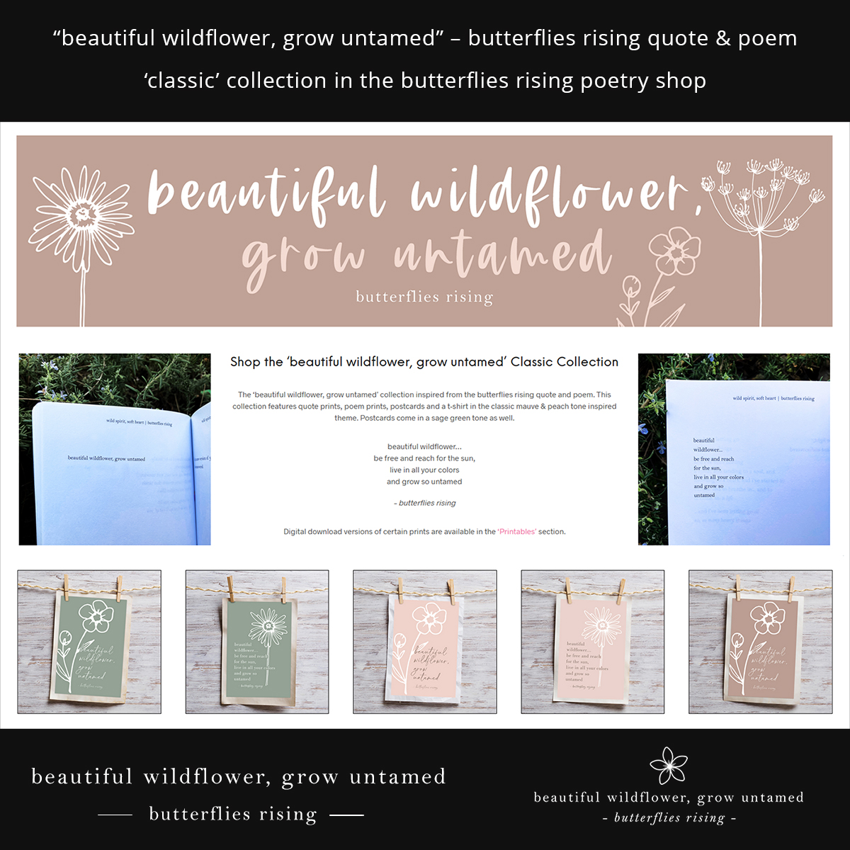 beautiful wildflower grow untamed - poetry collection